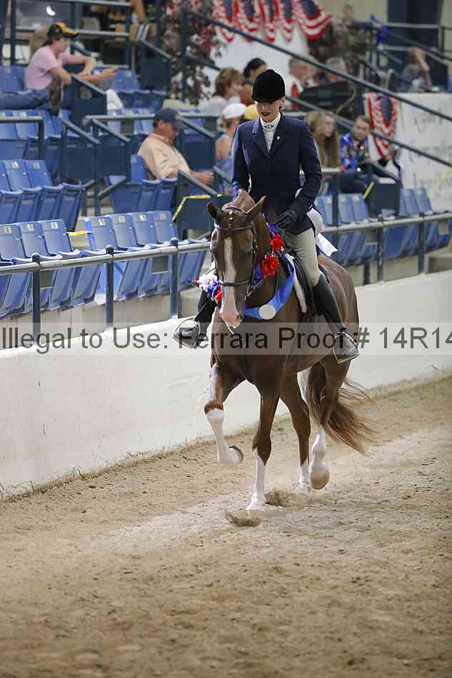 Proof Number 14r14_3857