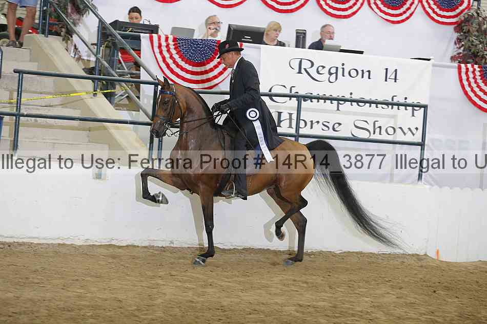 Proof Number 14r14_3877
