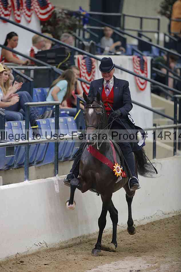 Proof Number 14r14_3884
