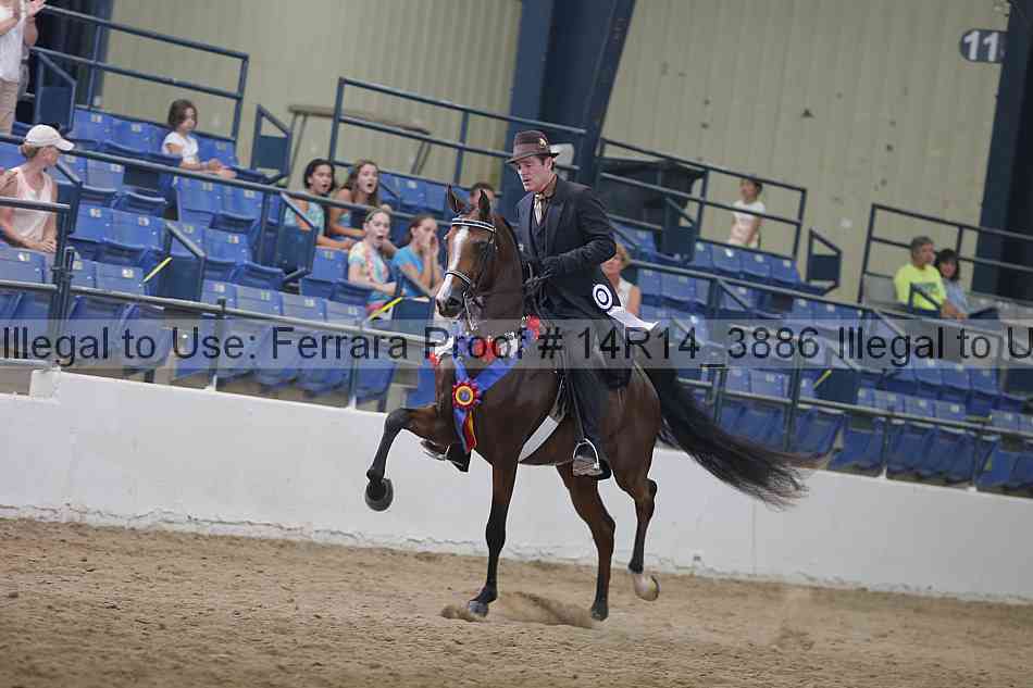 Proof Number 14r14_3886