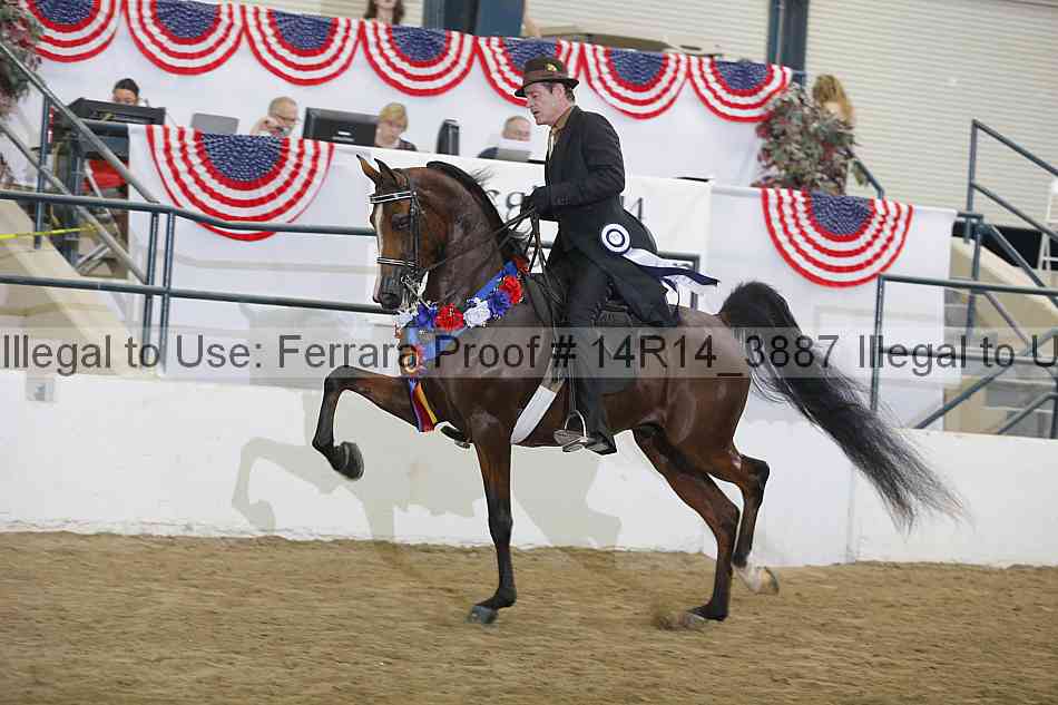 Proof Number 14r14_3887