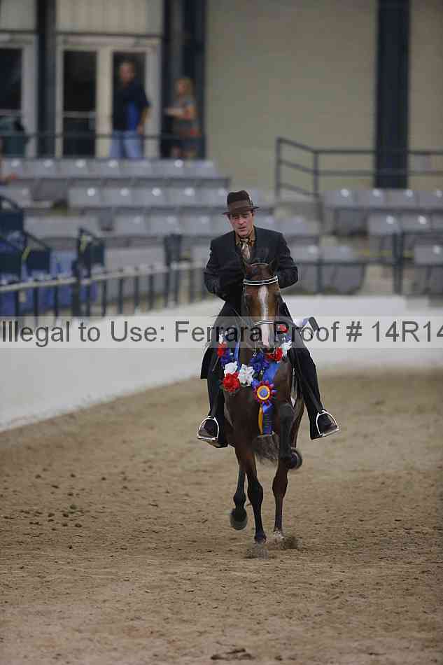 Proof Number 14r14_3889