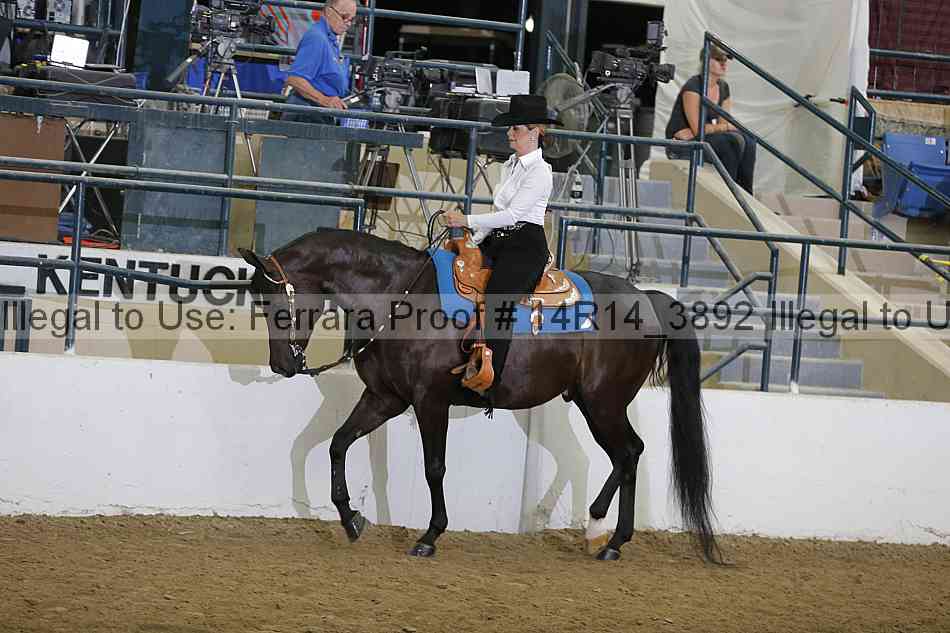 Proof Number 14r14_3892