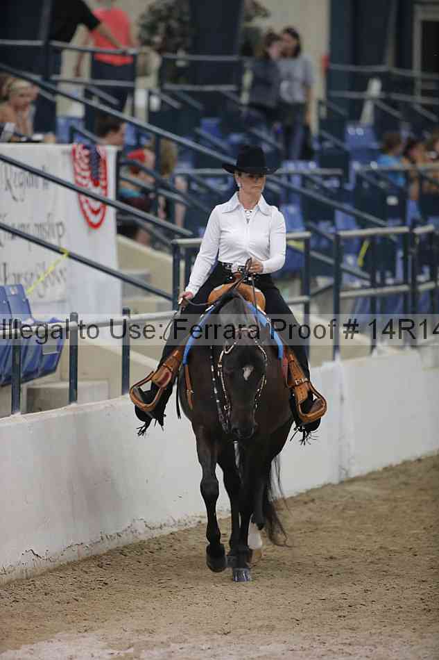 Proof Number 14r14_3909