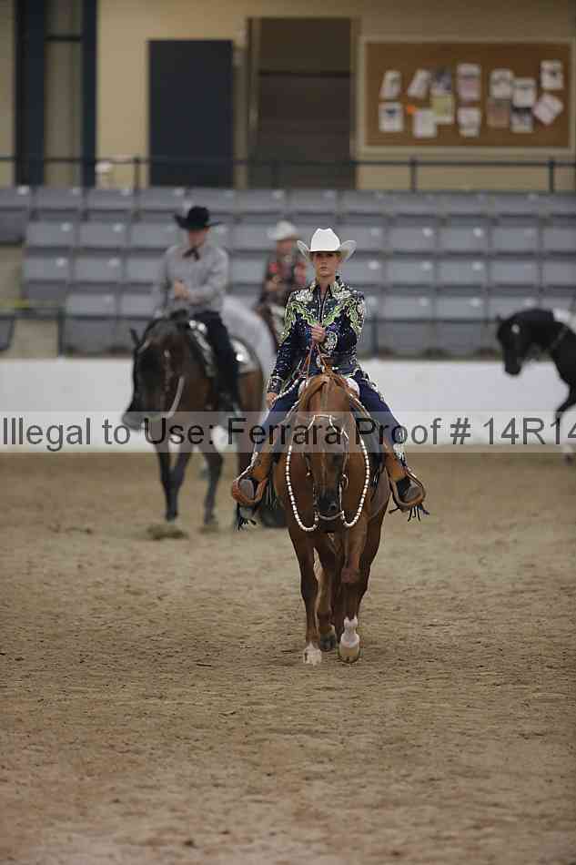 Proof Number 14r14_3915