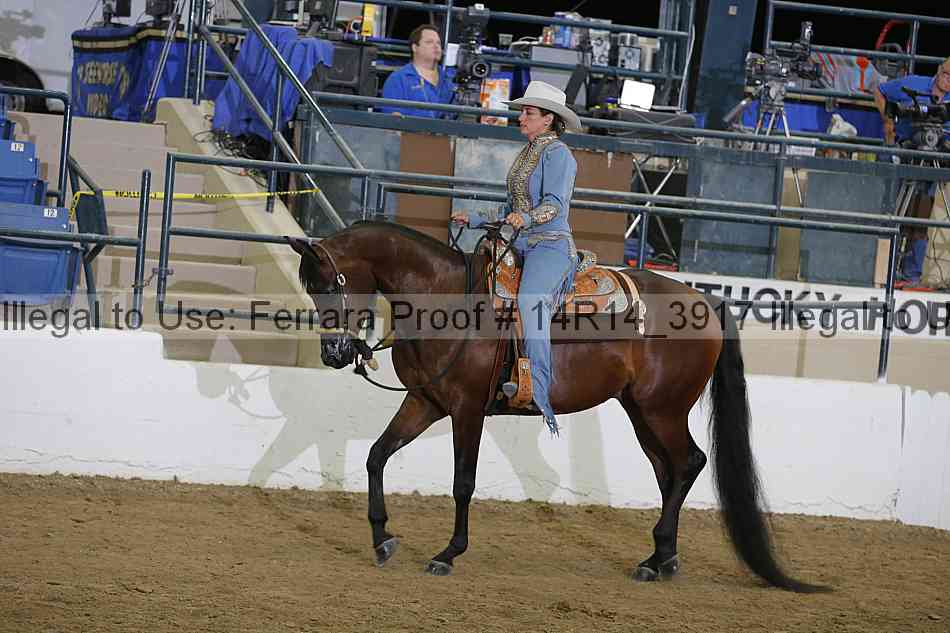 Proof Number 14r14_3917