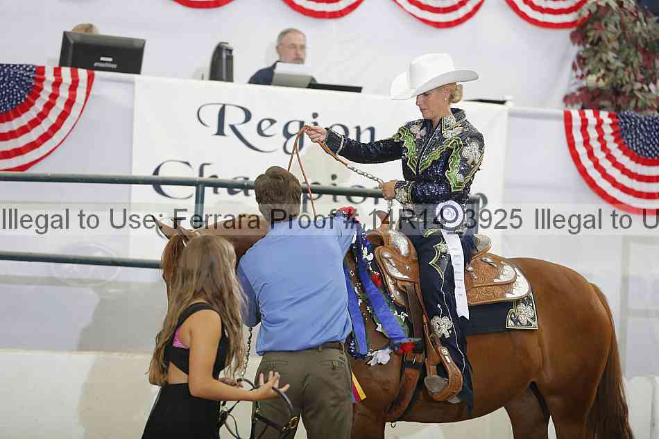 Proof Number 14r14_3925