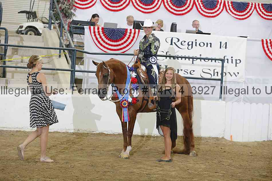 Proof Number 14r14_3927