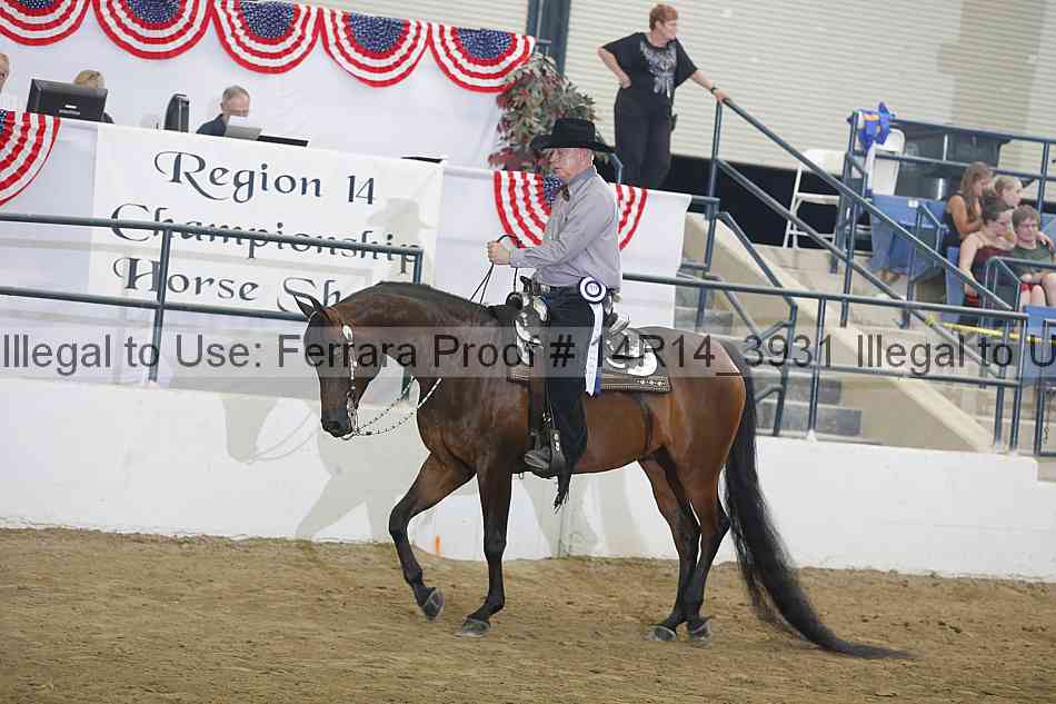 Proof Number 14r14_3931