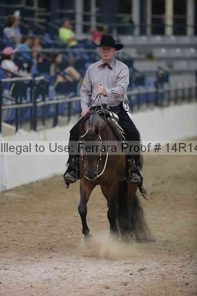 Proof Number 14r14_3933
