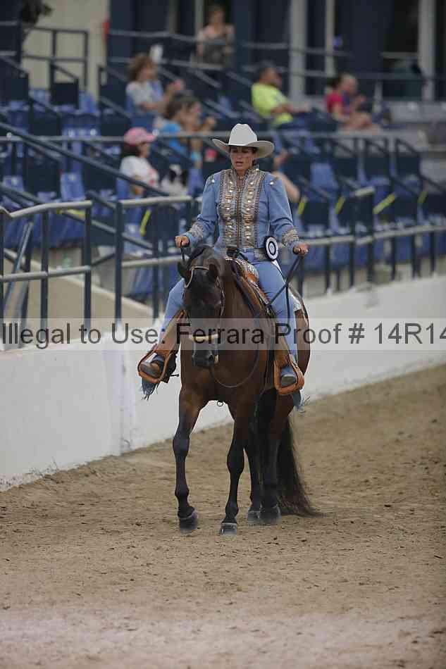 Proof Number 14r14_3936
