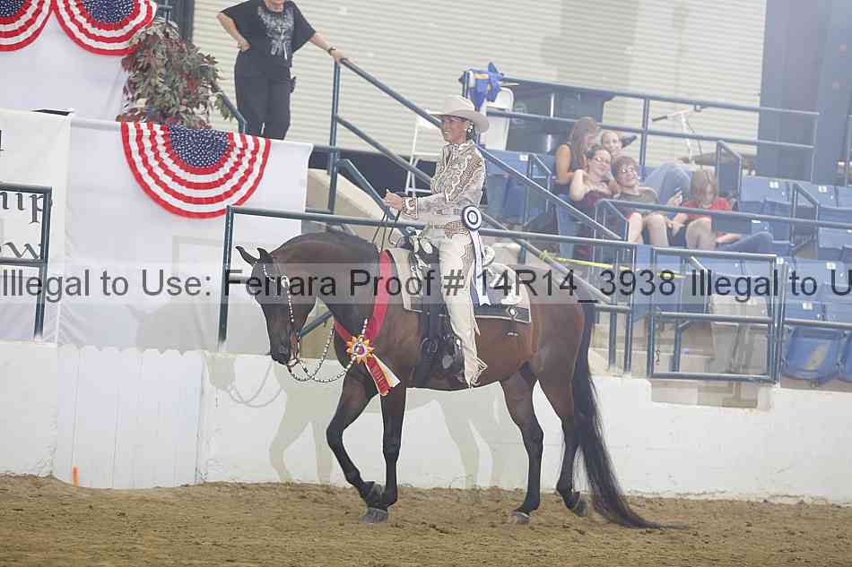 Proof Number 14r14_3938