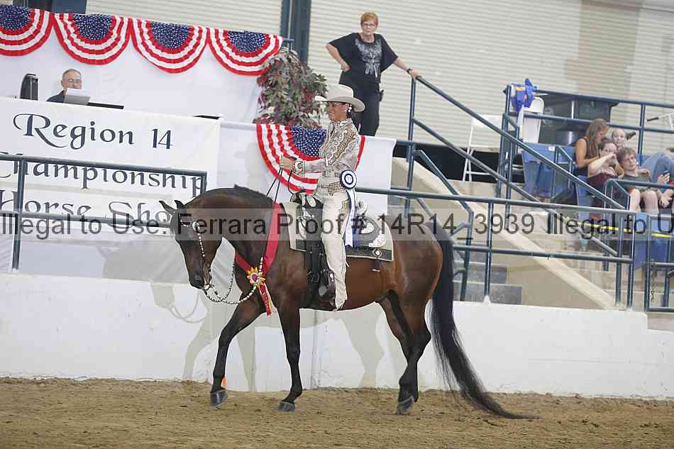 Proof Number 14r14_3939