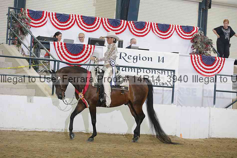 Proof Number 14r14_3940