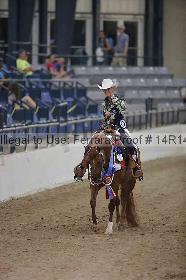 Proof Number 14r14_3946