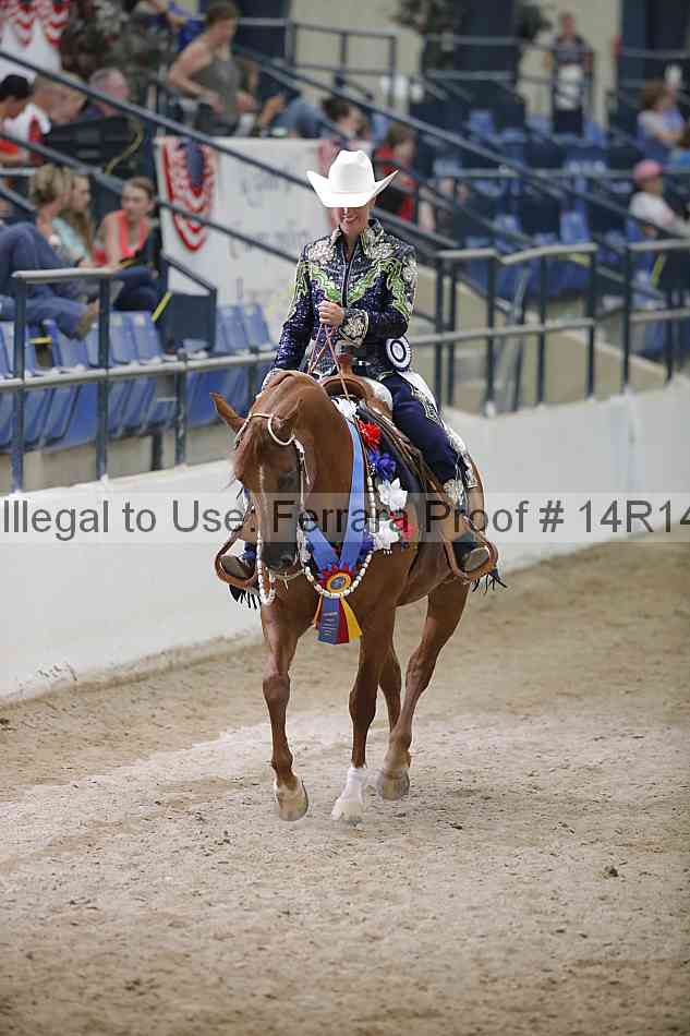Proof Number 14r14_3950
