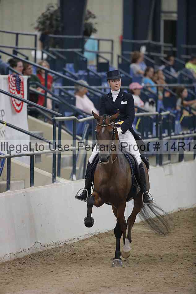 Proof Number 14r14_3954
