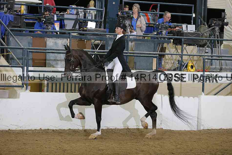 Proof Number 14r14_3956
