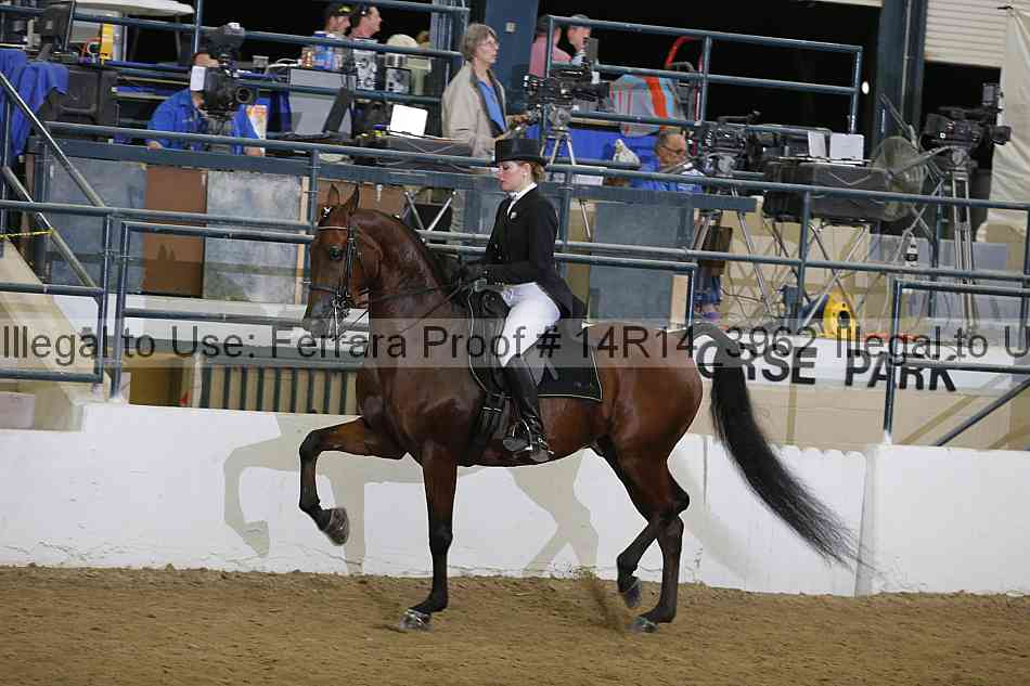 Proof Number 14r14_3962
