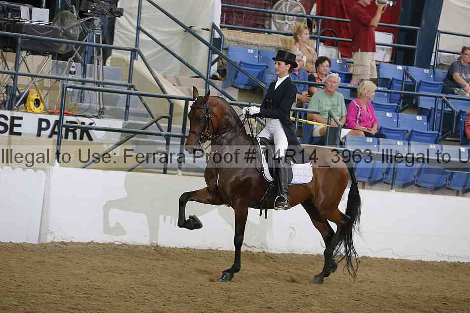 Proof Number 14r14_3963