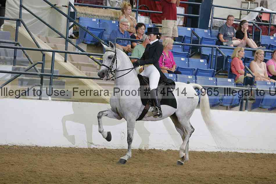 Proof Number 14r14_3965