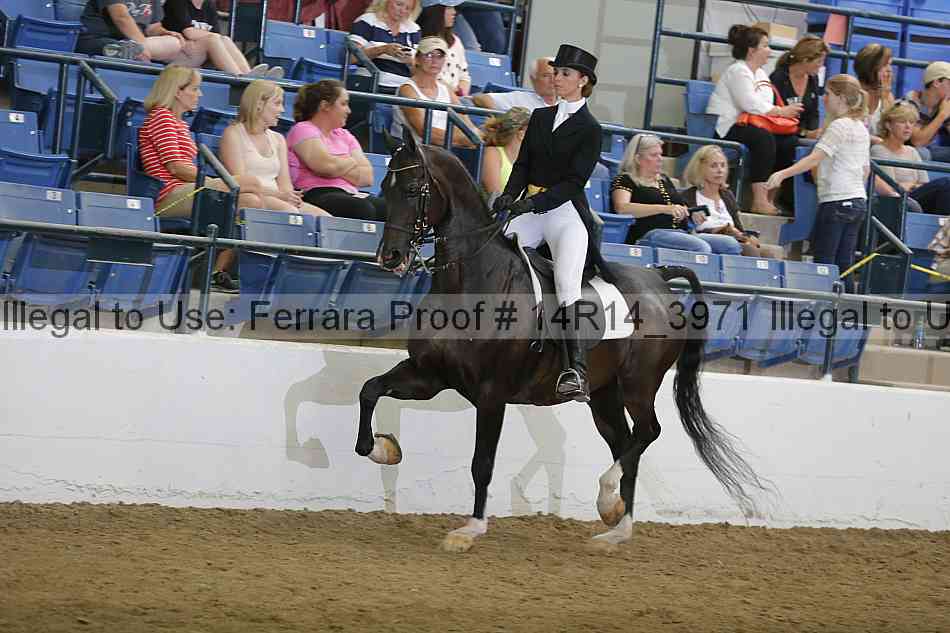 Proof Number 14r14_3971