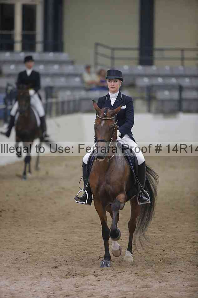 Proof Number 14r14_3978