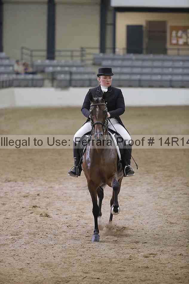 Proof Number 14r14_3980