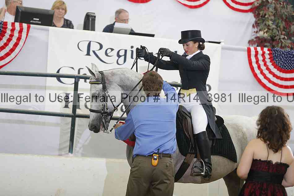 Proof Number 14r14_3981