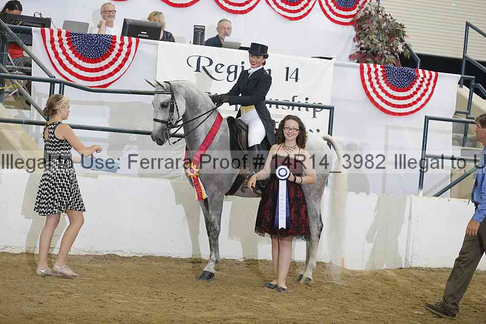 Proof Number 14r14_3982