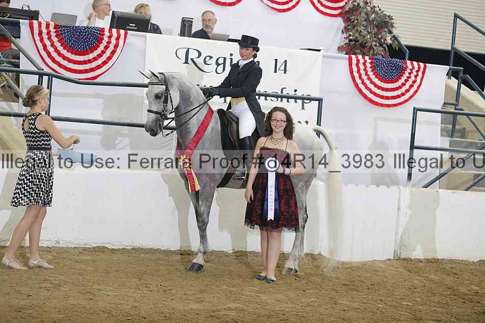 Proof Number 14r14_3983
