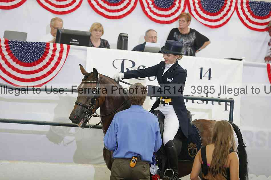 Proof Number 14r14_3985