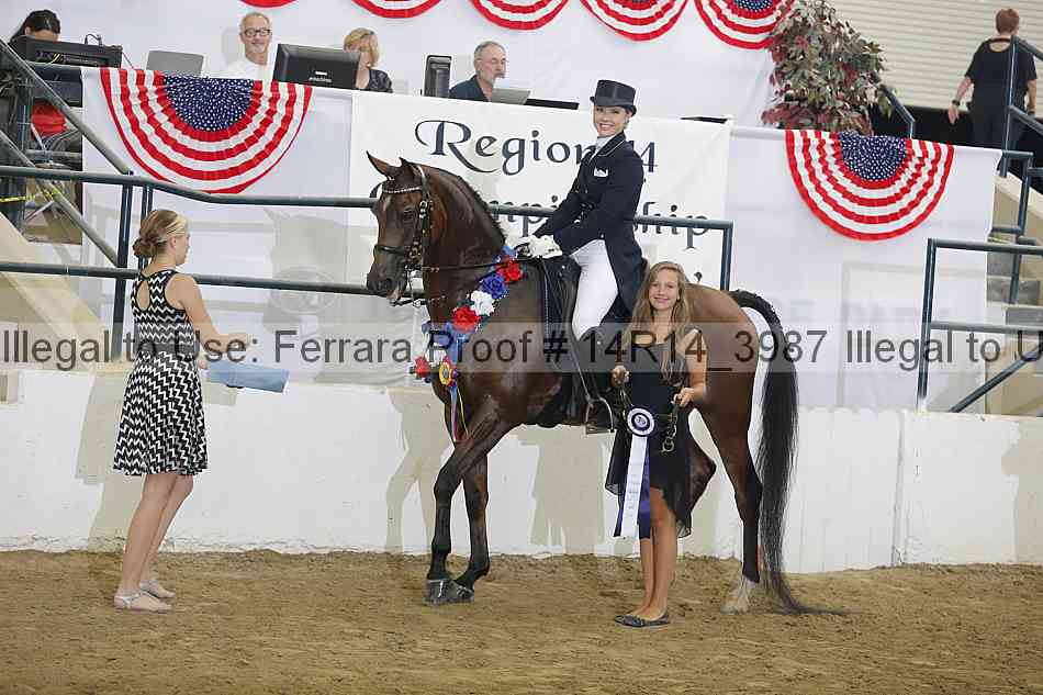 Proof Number 14r14_3987