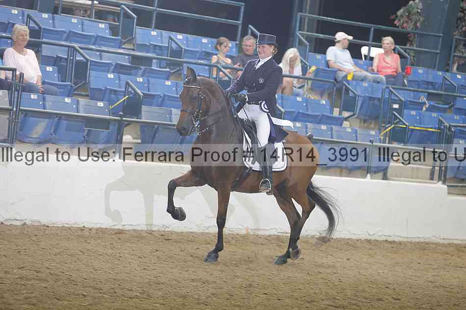 Proof Number 14r14_3991