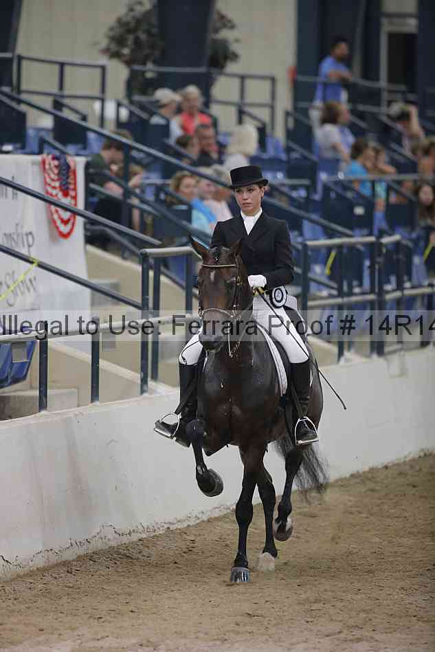 Proof Number 14r14_3996