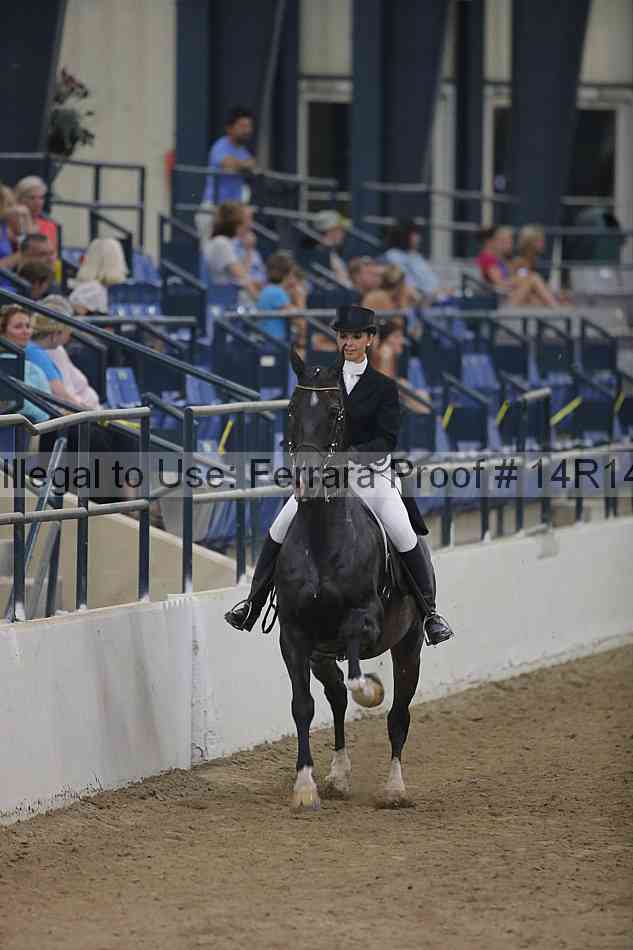 Proof Number 14r14_3998