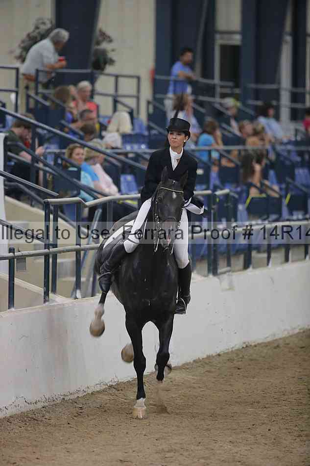 Proof Number 14r14_3999