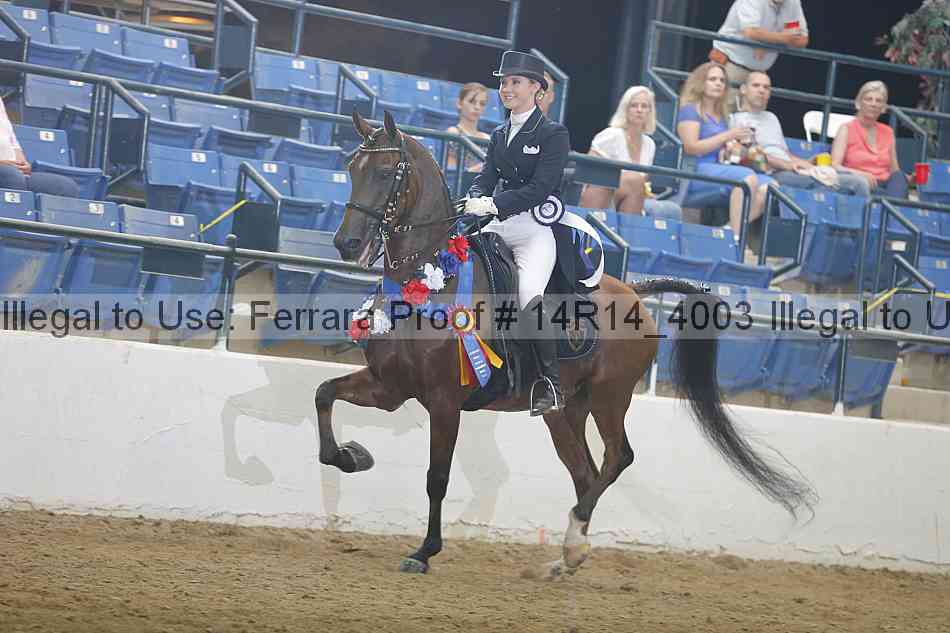 Proof Number 14r14_4003