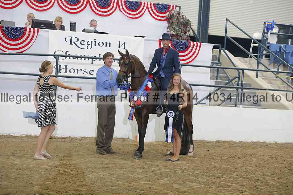 Proof Number 14r14_4034