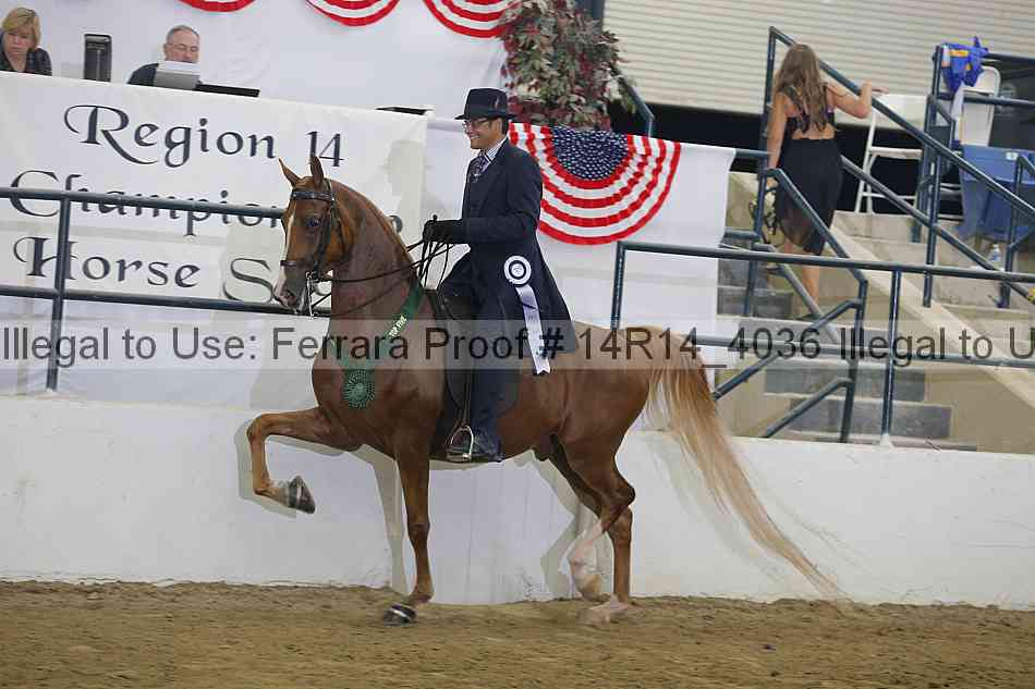 Proof Number 14r14_4036