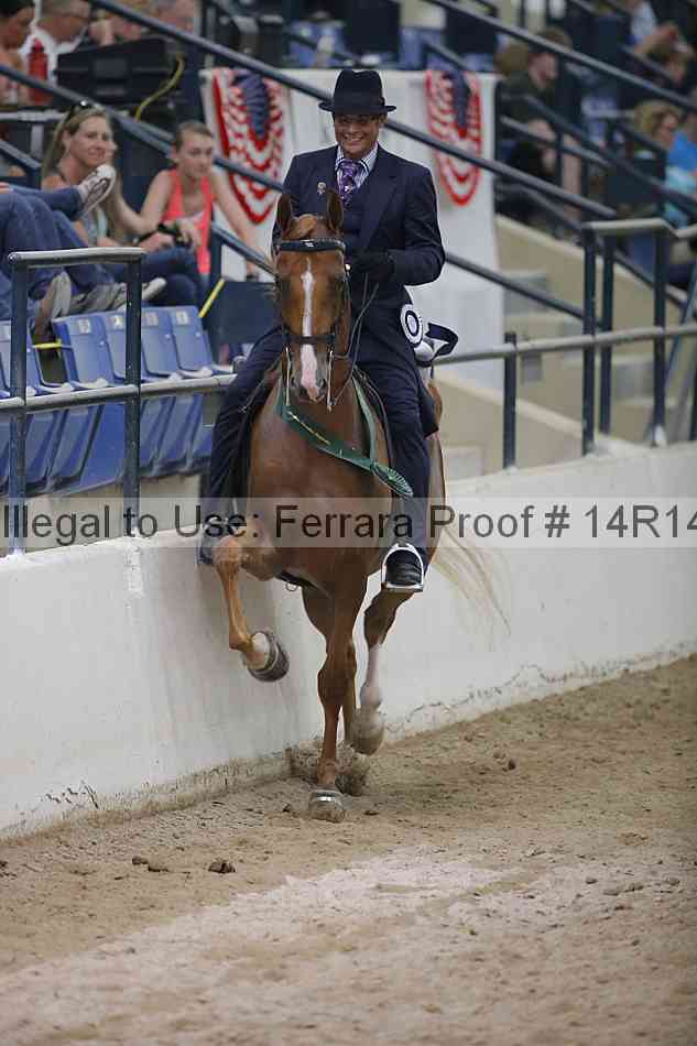 Proof Number 14r14_4037