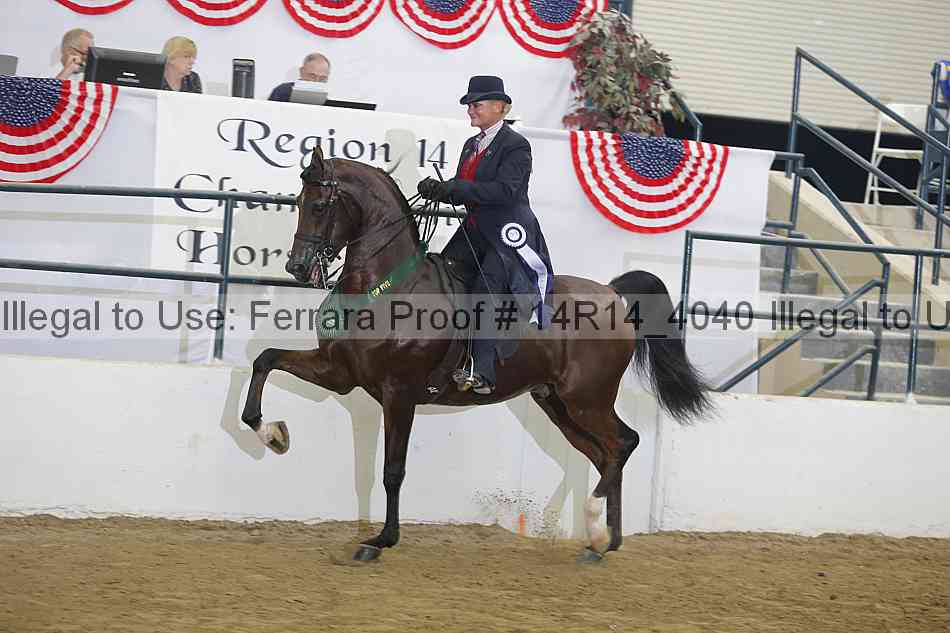 Proof Number 14r14_4040
