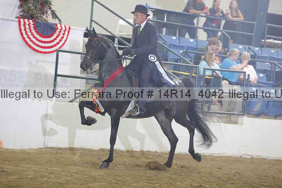 Proof Number 14r14_4042