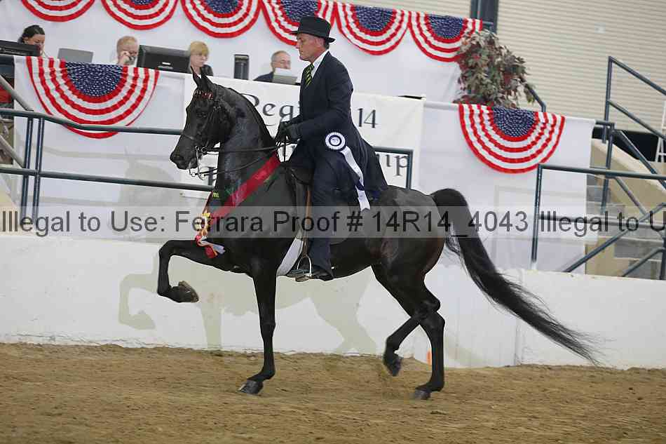 Proof Number 14r14_4043