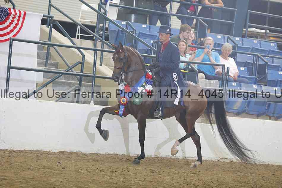 Proof Number 14r14_4045