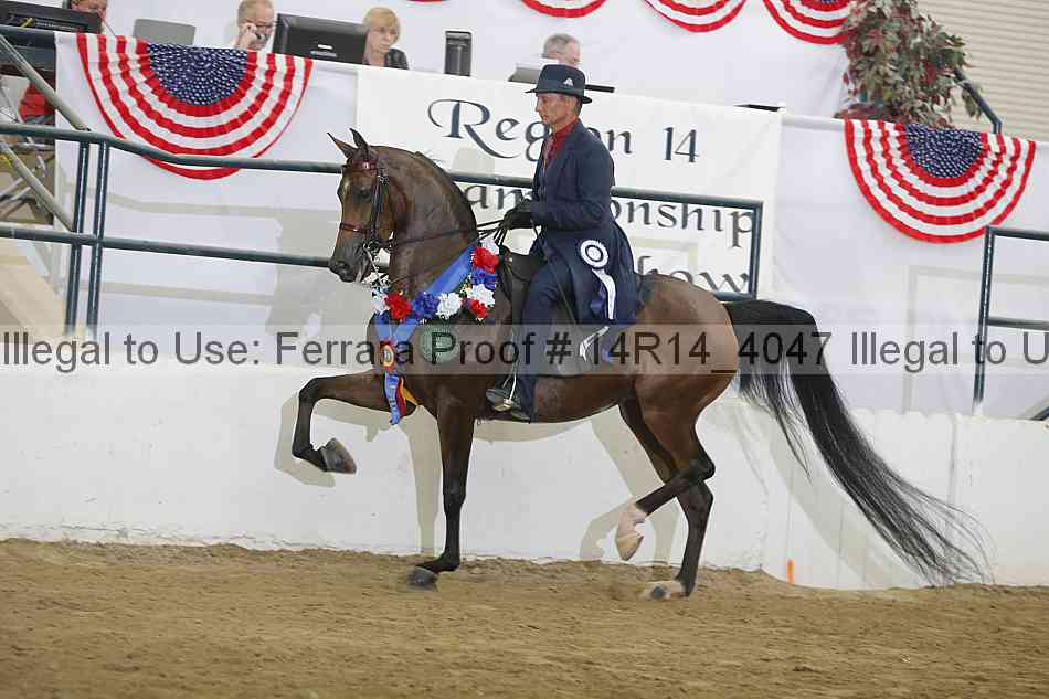 Proof Number 14r14_4047