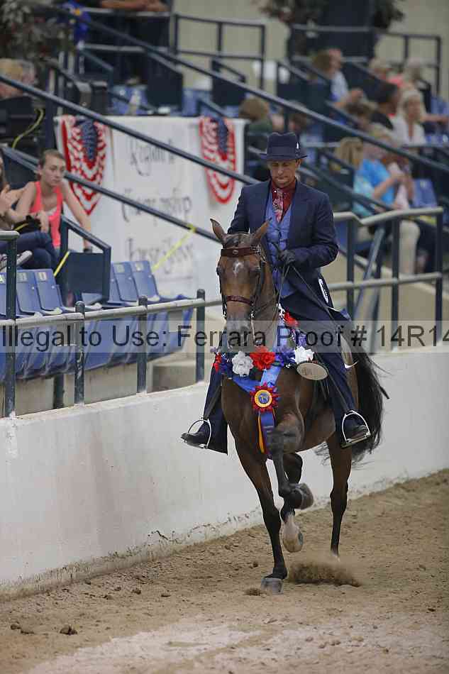 Proof Number 14r14_4052