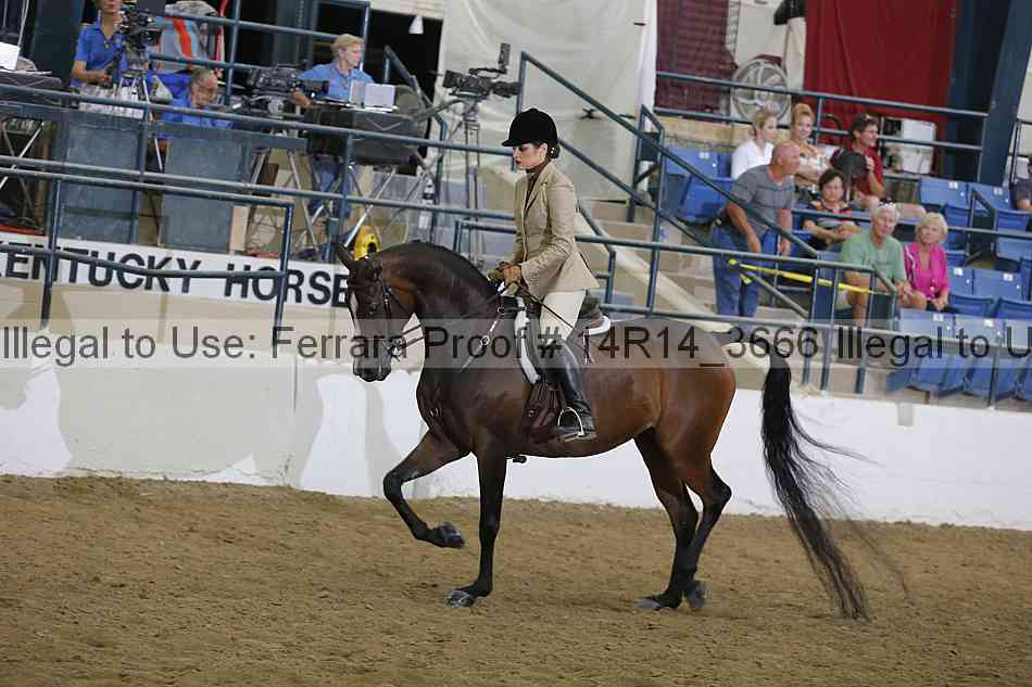 Proof Number 14r14_3666