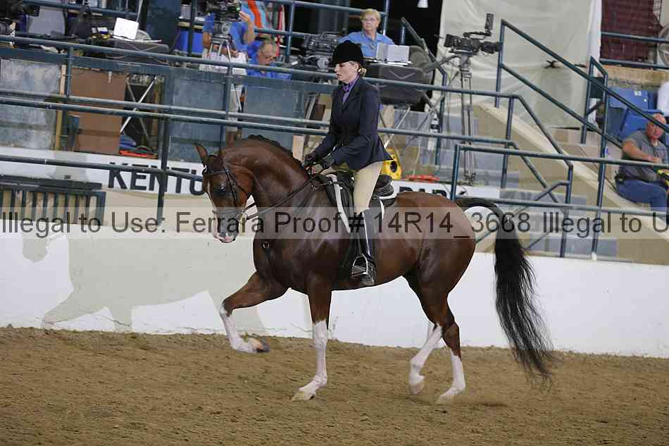Proof Number 14r14_3668