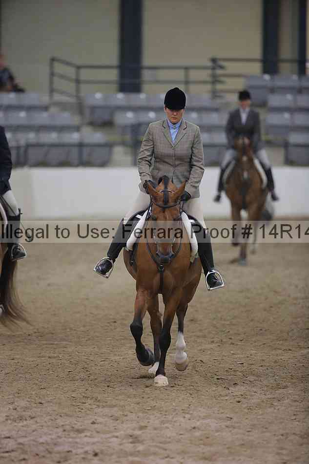 Proof Number 14r14_3669